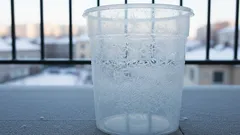 Bidone della spazzatura: il trucco naturale per dire addio ai cattivi odori